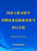 新华社权威快报丨习近